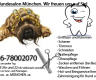 Hundefriseur, Hundesalon, Hundepflege,...